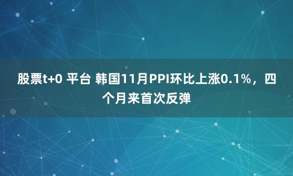 股票t+0 平台 韩国11月PPI环比上涨0.1%，四个月来首次反弹