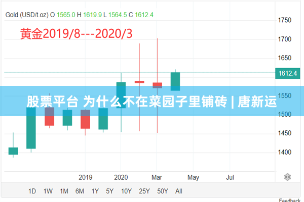 股票平台 为什么不在菜园子里铺砖 | 唐新运