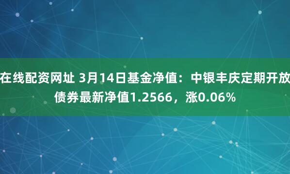 在线配资网址 3月14日基金净值：中银丰庆定期开放债券最新净值1.2566，涨0.06%